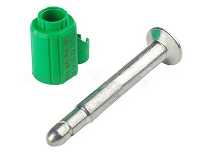 Bolt Seal CH124